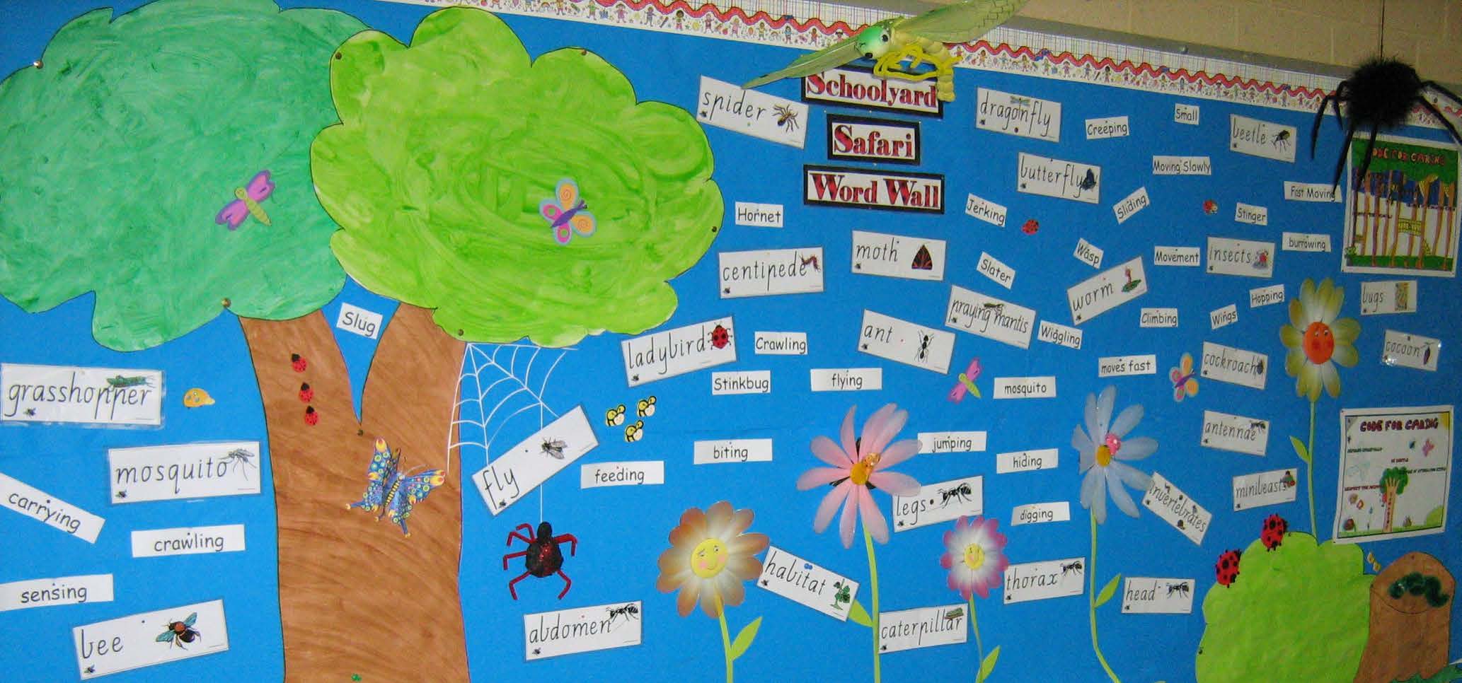 Word wall Schoolyard Safari Year 1