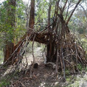 A stick structure assembled between two trees