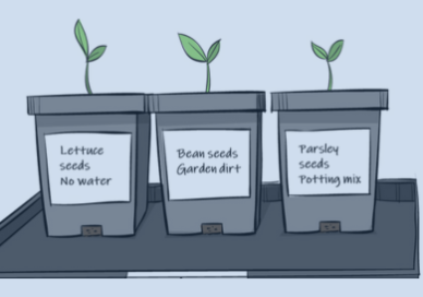 Illustration of three seed pots
