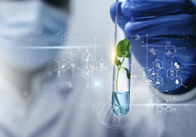 Hand holding test tube