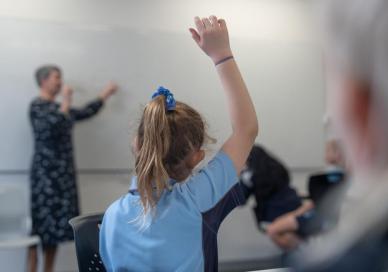 Student with raised hand