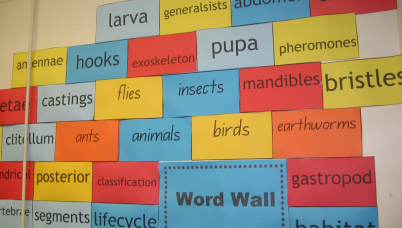 Example of a class glossary