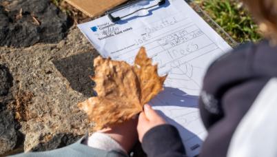 Student drawing a leaf