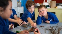Students perform group work on the sticks, rocks, and leaves in front of them
