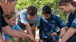 Students looking closely at a rock