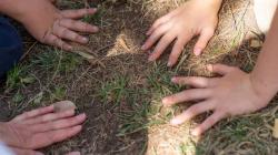 Students in a circle resting their hands on the ground