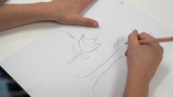 Student draws diagram of plants