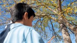 Student standing in front of tree takes notes