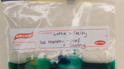 Students’ melted ice monsters