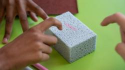 Students poke a sponge