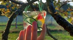 Frozen ice cube full of flowers