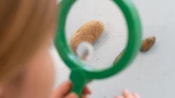 Student looks at rocks through magnifying glass