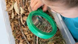 Student studies a soil sample with a magnifying glass