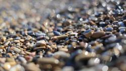 Pebbles