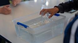 Students using water
