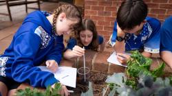 Students examine a veggie garden with sketches and implements